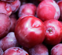 FRESH PLUMS