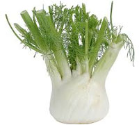 Fennel