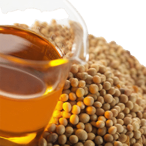 Refined Soybean Oil