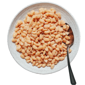 Great Northern Beans (kidney beans)